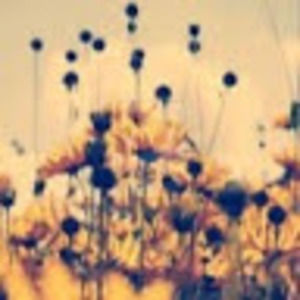 Meet your Posher, Hailey